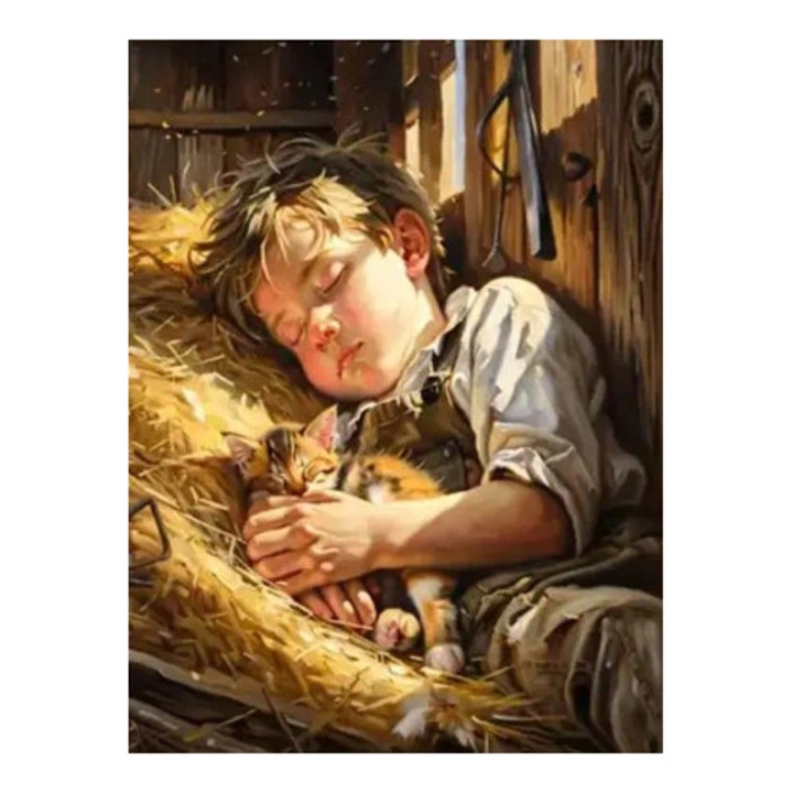 Pictura de diamante, Norimpex, Chlopiec spiind pe sian, 40x30cm, multicolor