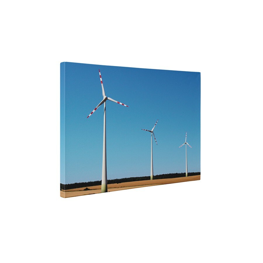 Puterea vantului - Tablou Canvas - 45x60 cm