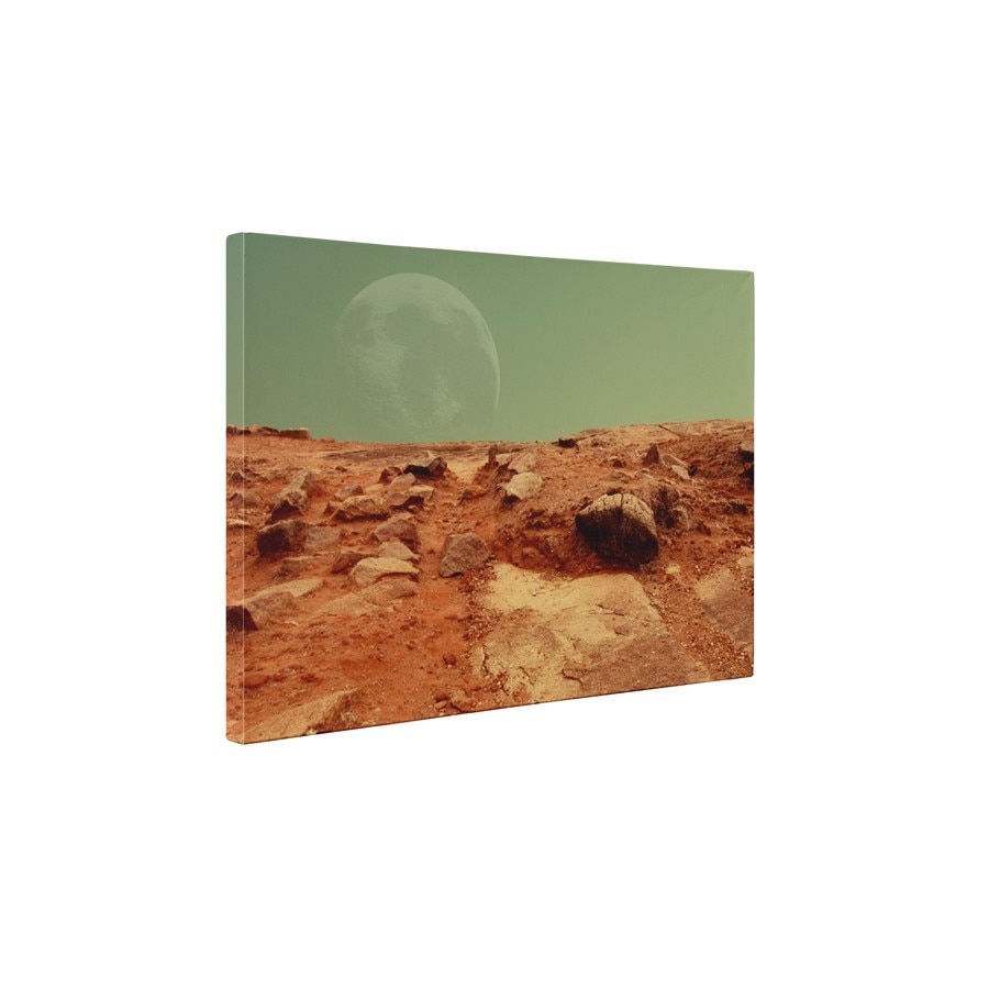 Solul rosu - Tablou Canvas - 35x45 cm