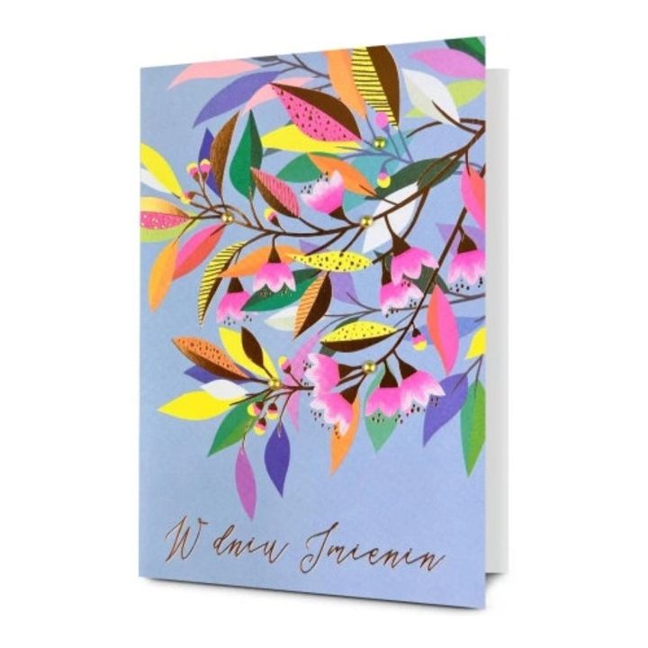 Felicitare Pan Dragon, Imieniny, decorata, cu 3D, multicolor, set cu envelopa