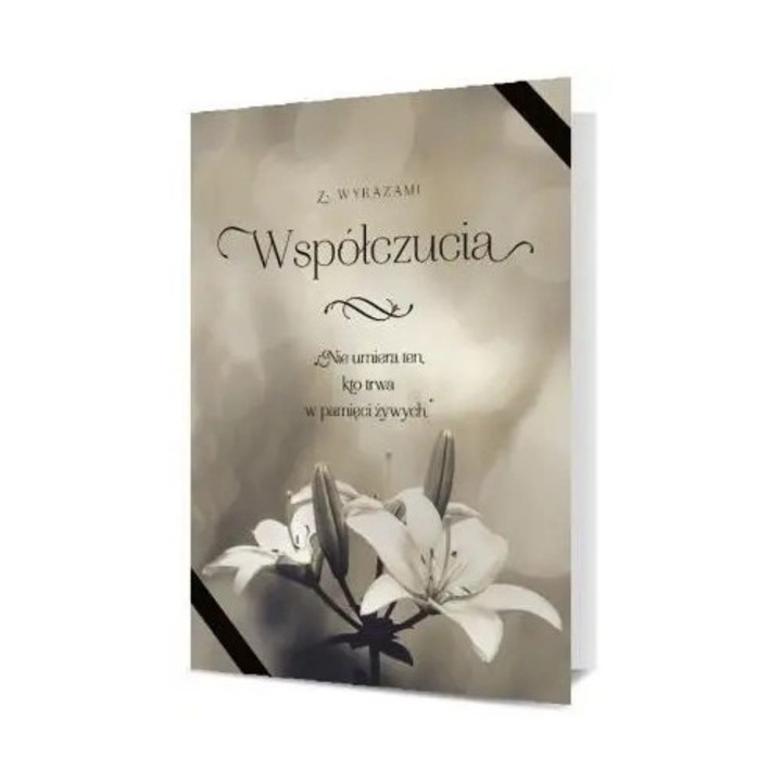 Karnet okolicznosciowy cu plic, Pan Dragon, Kondolencje, B6-1888