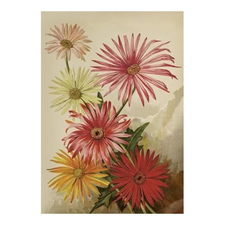 Caiet ST515 B6 cu coperta, Skona Ting, fara text, fabricat in Suedia