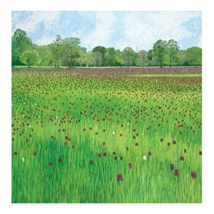 Felicitare cu plic, Susan Entwistle, Laka sahownic, 10x15cm