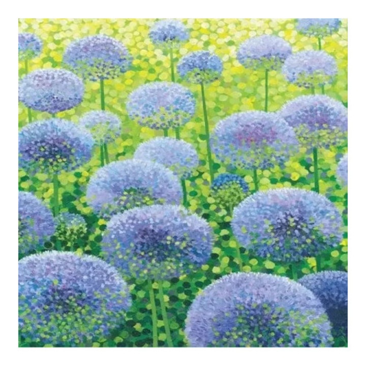 Felicitare cu plic, Susan Entwistle, Czosnek blekitny