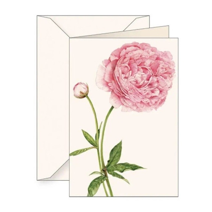Karnet B6 cu coperta, Tassotti, Piwonia chineza, 200g/m2