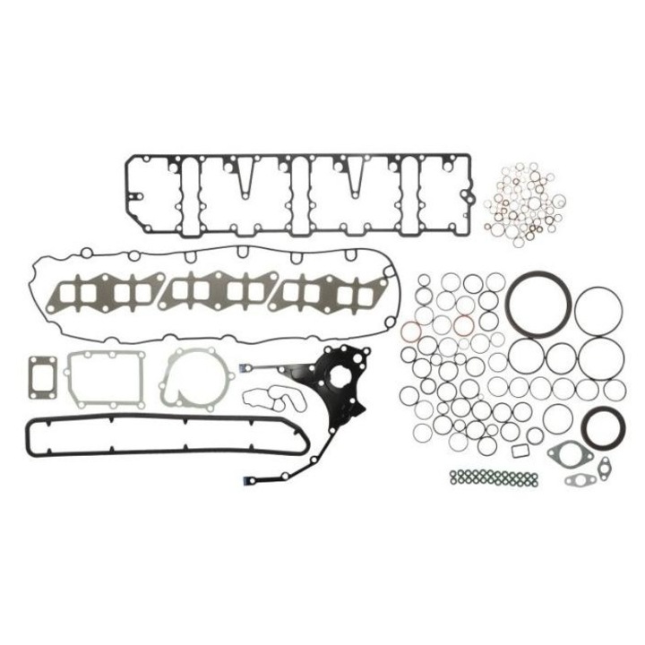 Комплект уплътнения на двигател Fendt Victor Reinz F716201210720