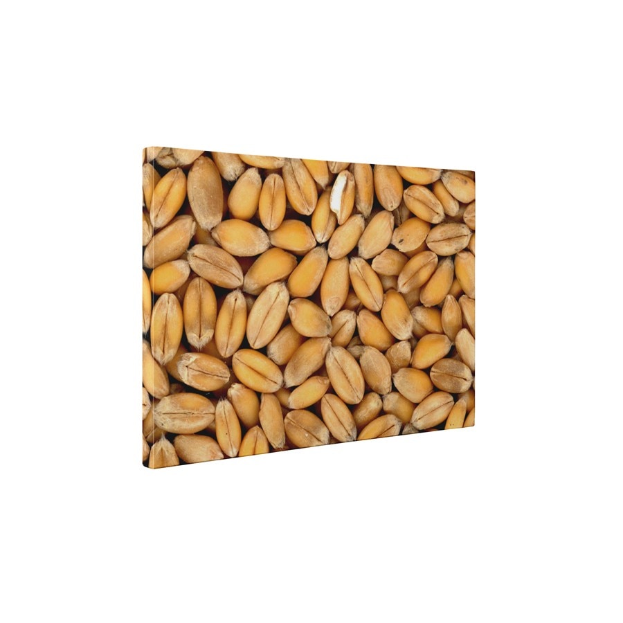 Dupa recoltarea graului - Tablou Canvas - 60x75 cm