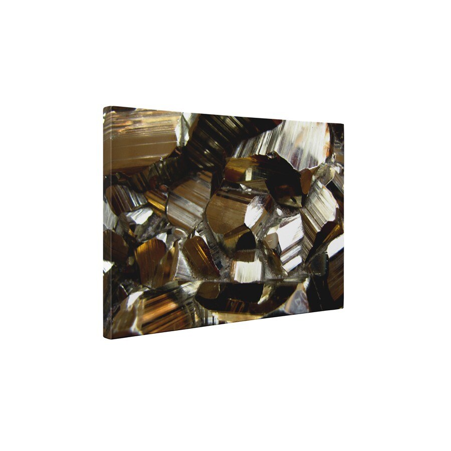 Pirita pretioasa - Tablou Canvas - 65x85 cm