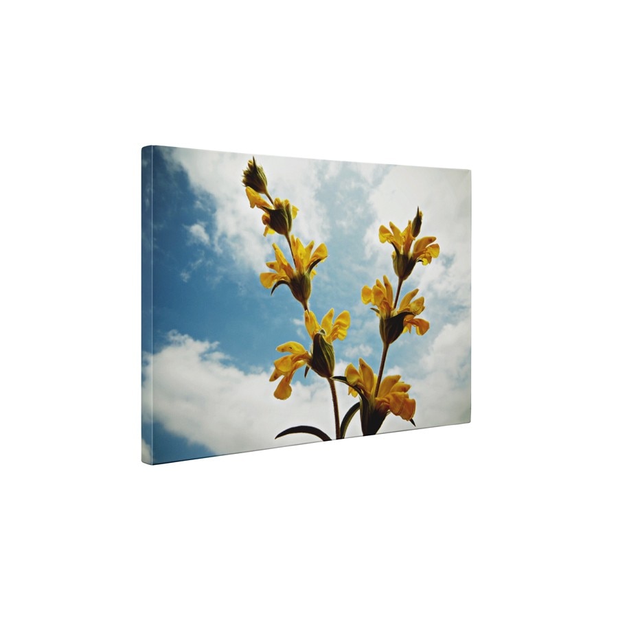 Salvia - Tablou Canvas - 90x120 cm