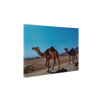 Camile la plimbare - Tablou Canvas - 80x105 cm Camile la plimbare - Tablou Canvas - 80x105 cm