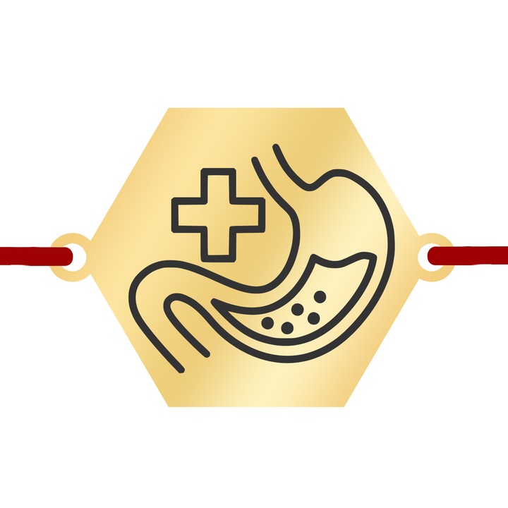 Martisor Bratara Inox Placat Aur 18K Hexagon Medic Gastroenterolog