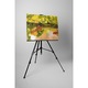 Fructe coapte - Tablou Canvas - 65x85 cm