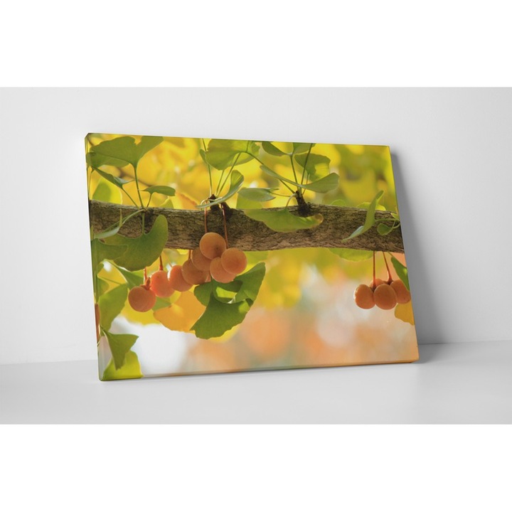 Fructe coapte - Tablou Canvas - 65x85 cm