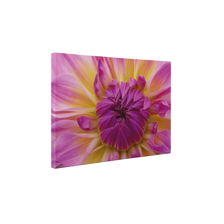 Boboc de floare - Tablou Canvas - 80x105 cm