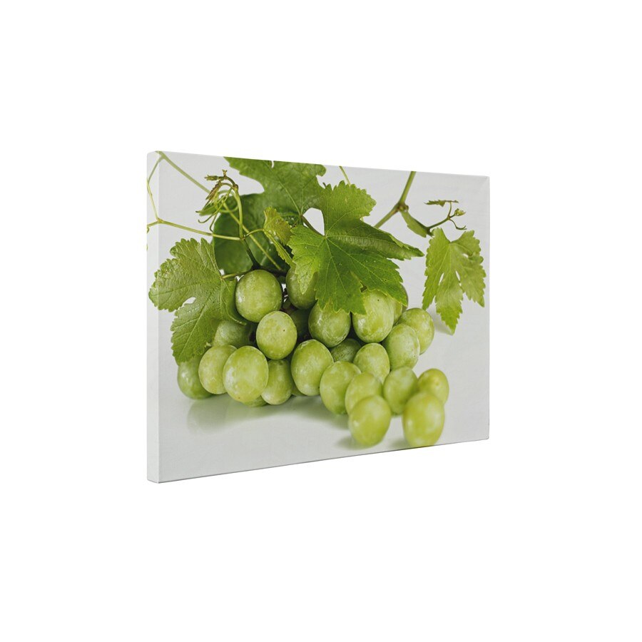 Strugure alb - Tablou Canvas - 60x75 cm