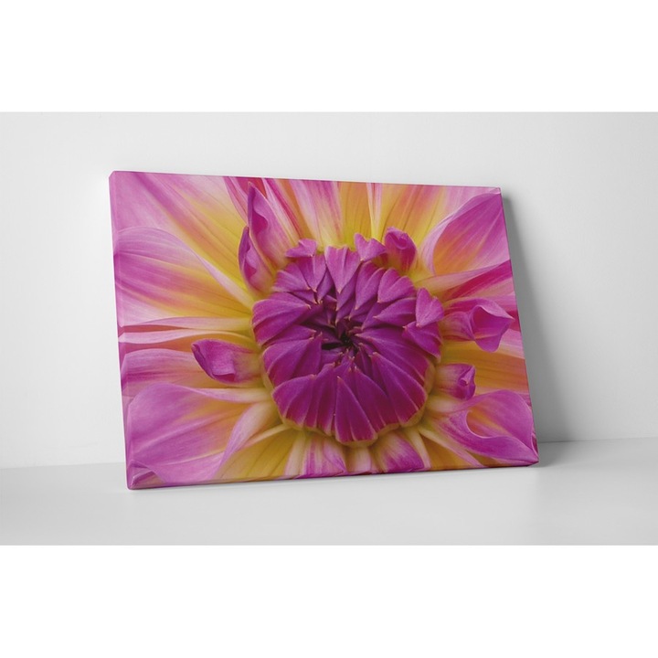 Boboc de floare - Tablou Canvas - 80x105 cm