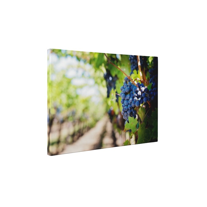 Struguri rosii - Tablou Canvas - 65x85 cm