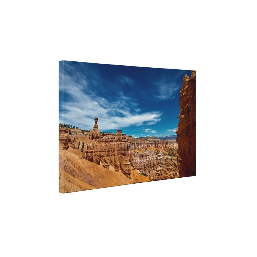 Parcul National Bryce-Canyon - Tablou Canvas - 60x75 cm