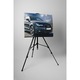 Audi negru - Tablou Canvas - 65x85 cm