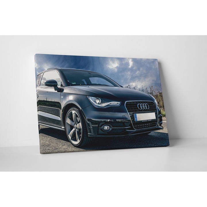Audi negru - Tablou Canvas - 65x85 cm