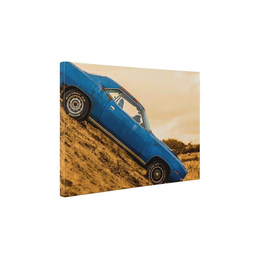 Fast car - Tablou Canvas - 35x45 cm