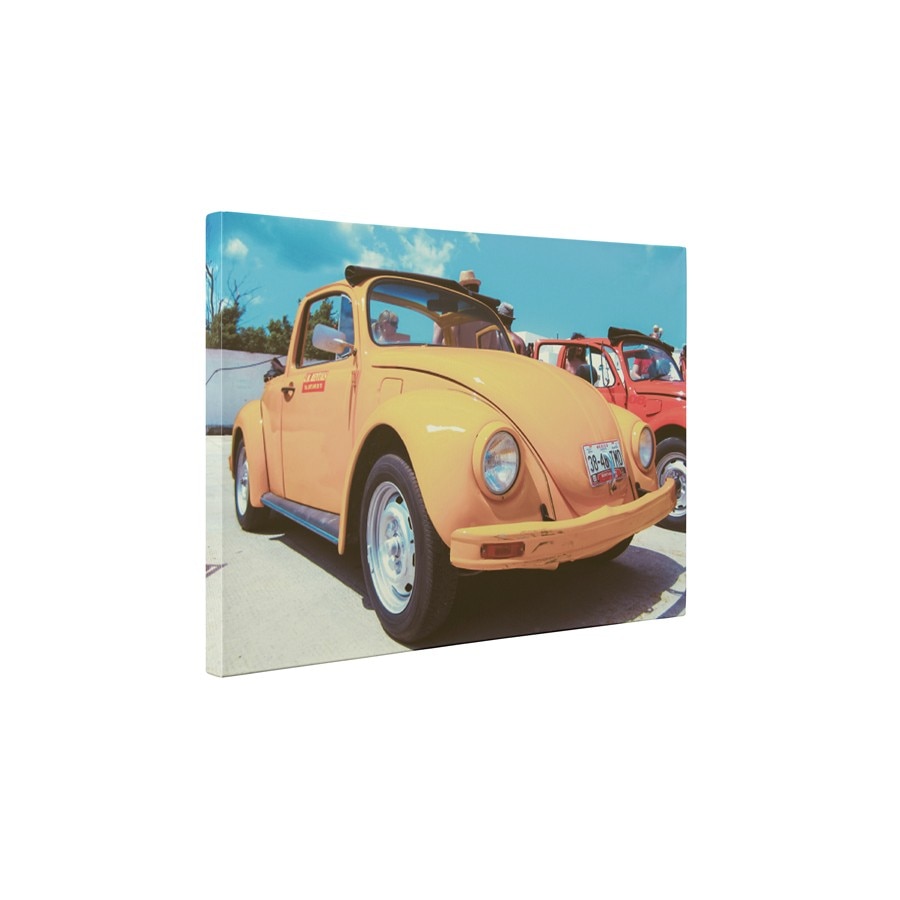 Beetle - Tablou Canvas - 60x80 cm