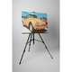 Beetle - Tablou Canvas - 50x65 cm