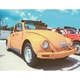 Beetle - Tablou Canvas - 50x65 cm