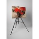 Maserati 4CM - Tablou Canvas - 95x125 cm