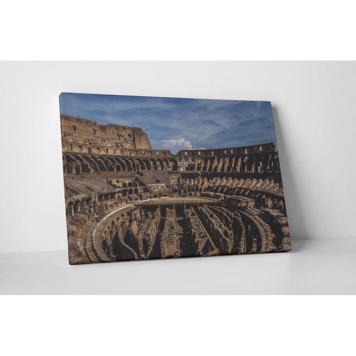 Colosseum inauntru - Tablou Canvas - 75x100 cm