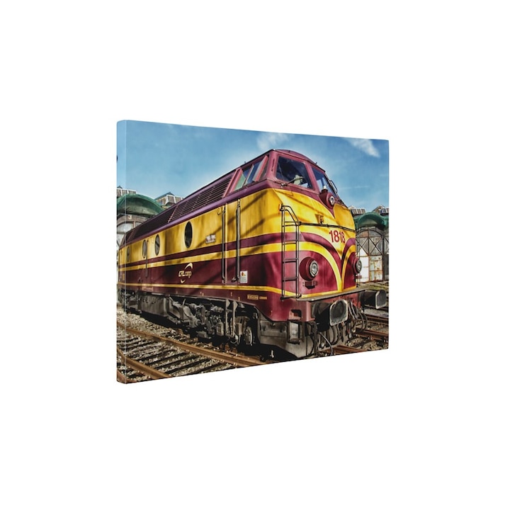 Locomotiva - Tablou Canvas - 60x80 cm