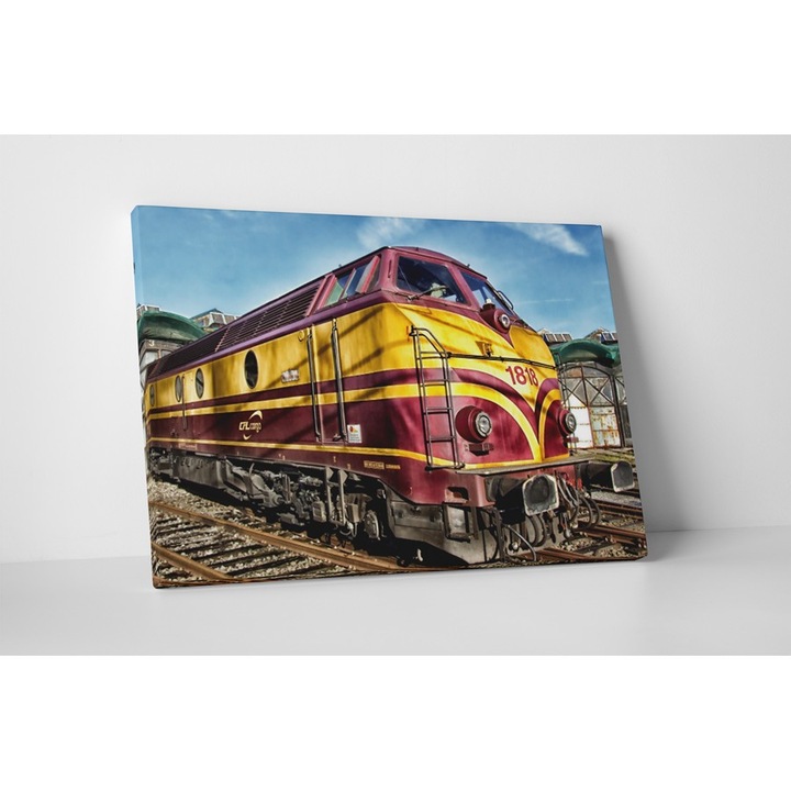 Locomotiva - Tablou Canvas - 60x80 cm