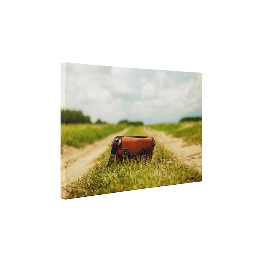 Geanta pe camp - Tablou Canvas - 45x60 cm