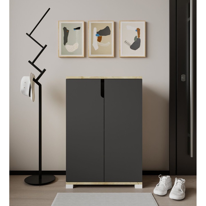 Dulap pantofi Woody Fashion, 645, stejar safir, antracit, 3 rafturi, 60x97x34cm