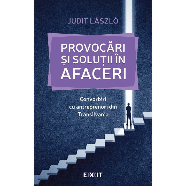 Provocari Si Solutii In Afaceri. Convorbiri Cu Antreprenori Din Transilvania - Judit Laszlo