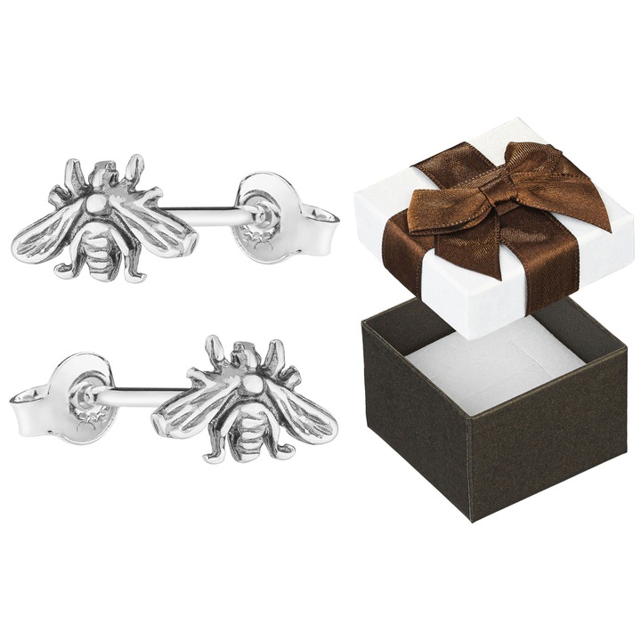 Cercei Siju argintii, model muste