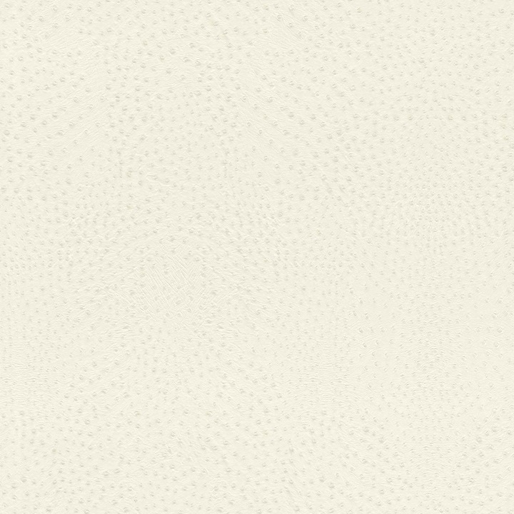 Tapet vlies de perete rasch african queen 751536