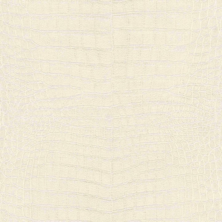 Tapet vlies de perete rasch african queen 751321