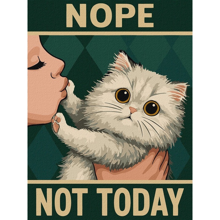 Set pictura pe numere, cu sasiu, Poster - Azi nu!, 30x40 cm