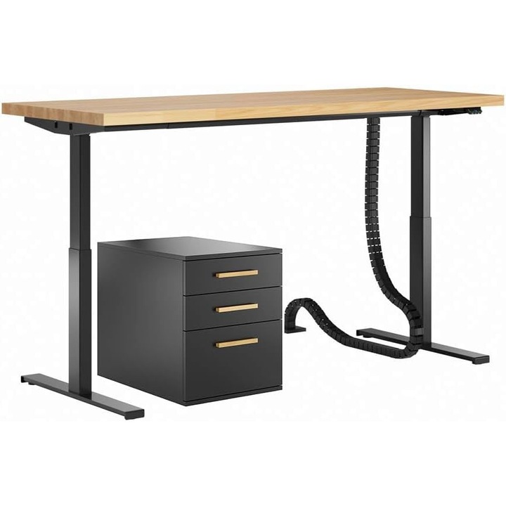 Birou Electric Reglabil pe Inaltime cu Blat din Lemn, Birou Computer, Model cu Container si Blat Sectionat, Negru 170×80 – Stil Industrial, DEERHORN