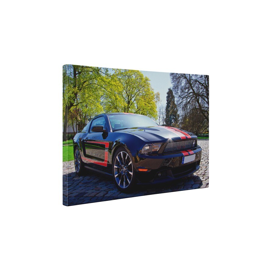 Mustang - Tablou Canvas - 20x25 cm
