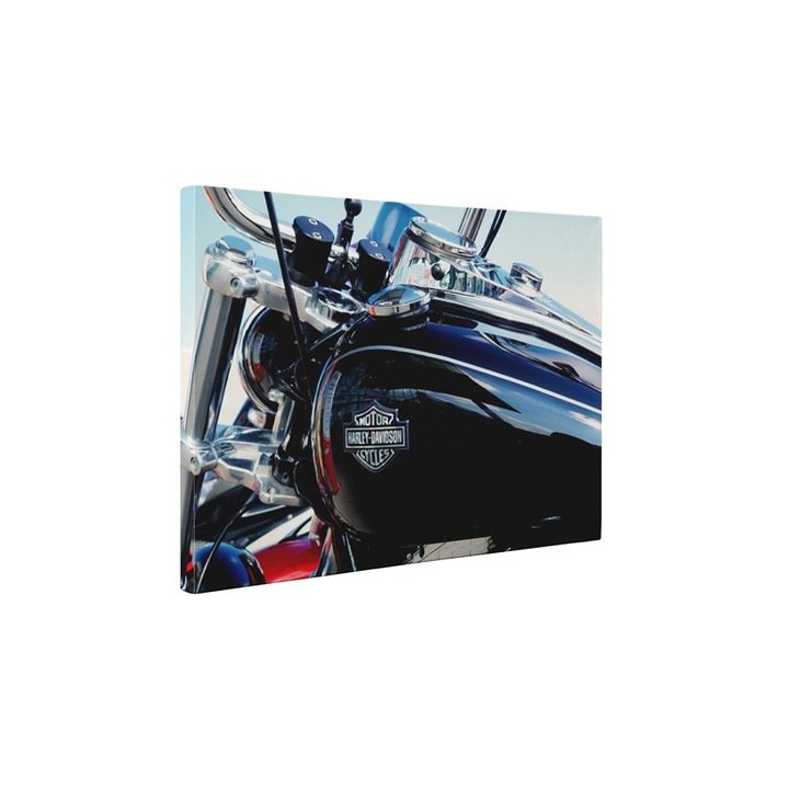 Motocicleta Harley - Tablou Canvas - 60x80 cm