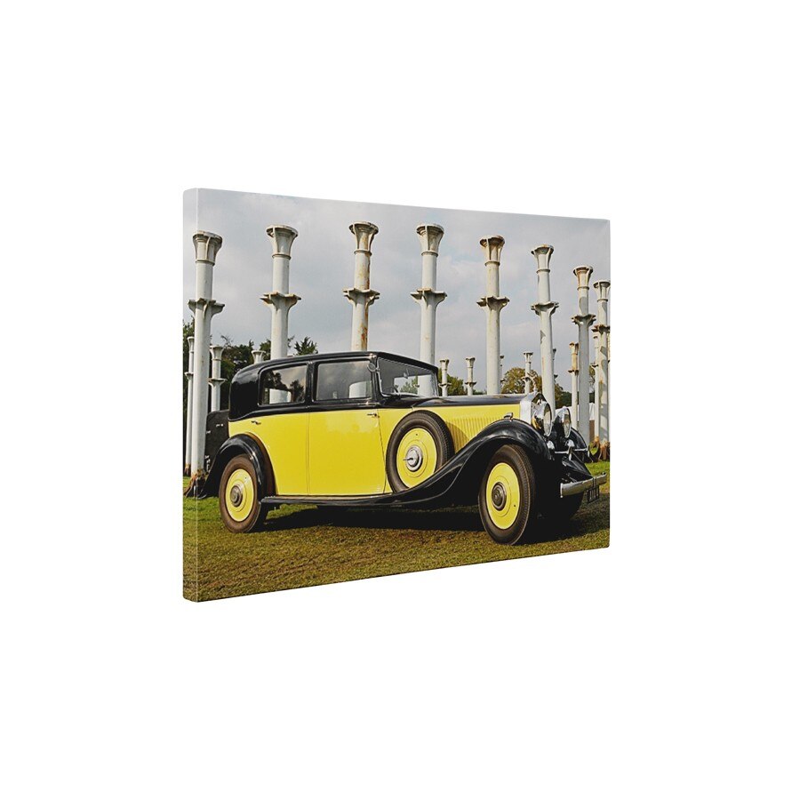 Galben si negru - Tablou Canvas - 60x75 cm