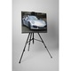 Porsche gri - Tablou Canvas - 80x105 cm