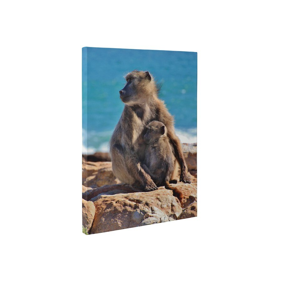 Familie de maimute - Tablou Canvas - 60x80 cm