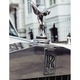 Sigla Rolls Royce - Tablou Canvas - 50x65 cm