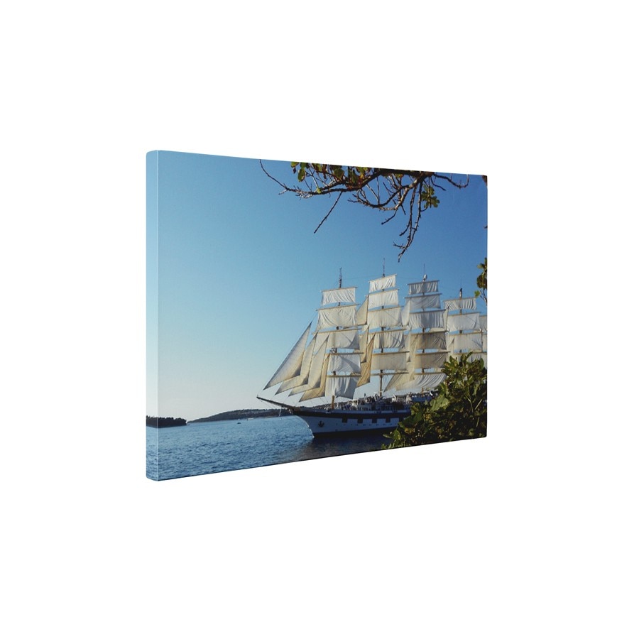 Fregata - Tablou Canvas - 45x60 cm