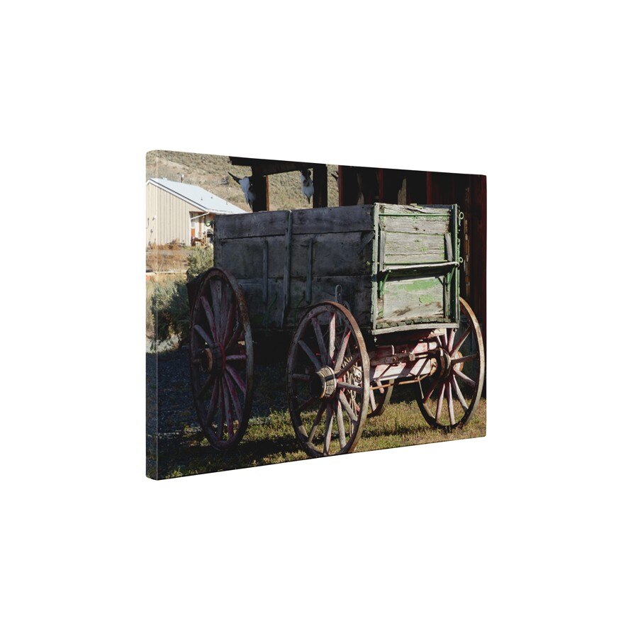 Caruta - Tablou Canvas - 45x60 cm