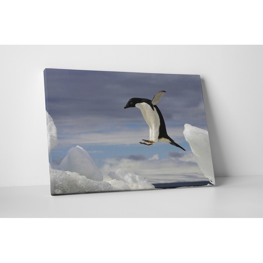 Pinguin zburator - Tablou Canvas - 80x105 cm - eMAG.ro