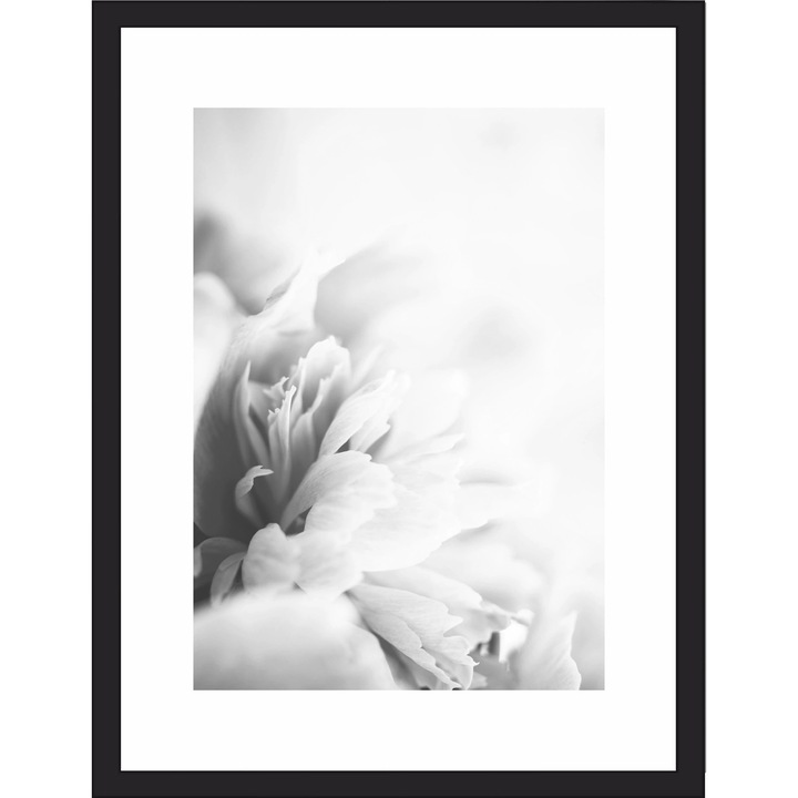 Tablou cu flori, Naklejkomania, 70x100cm, rama din aluminiu, design minimalist, alb-negru